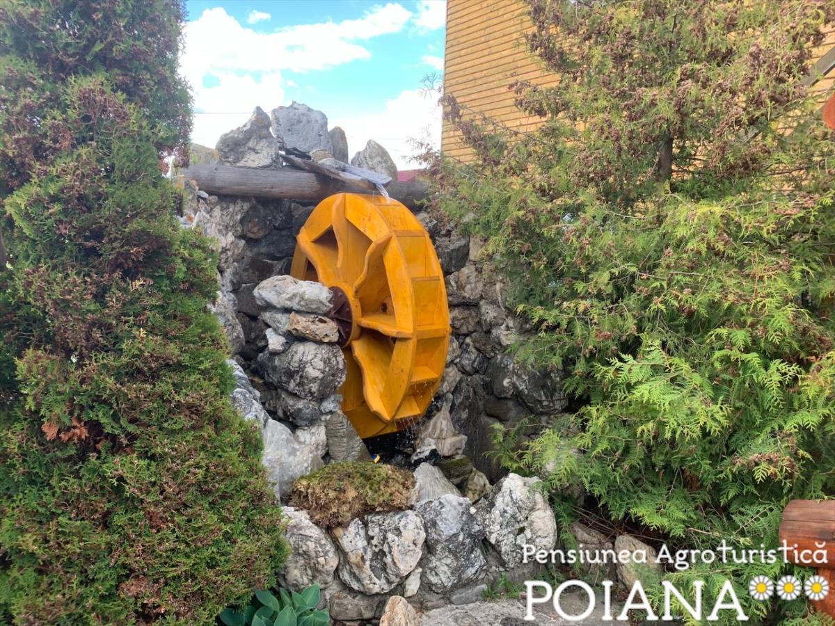 Pensiunea Agroturistica Poiana Poiana Negrii Extérieur photo