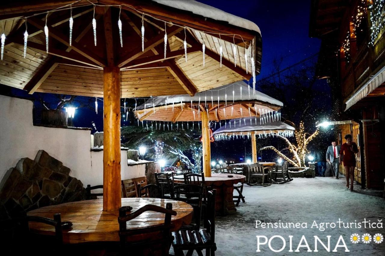 Pensiunea Agroturistica Poiana Poiana Negrii Extérieur photo
