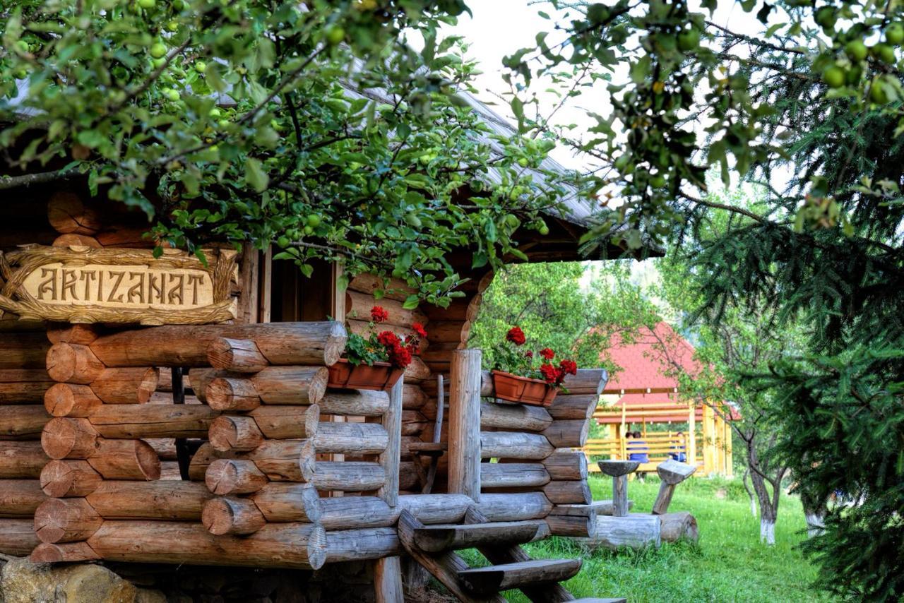 Pensiunea Agroturistica Poiana Poiana Negrii Extérieur photo