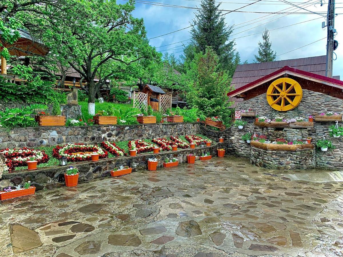 Pensiunea Agroturistica Poiana Poiana Negrii Extérieur photo