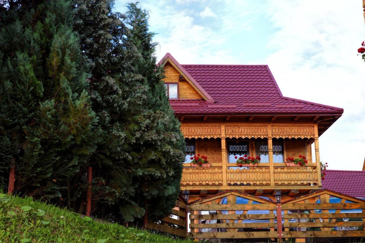 Pensiunea Agroturistica Poiana Poiana Negrii Extérieur photo