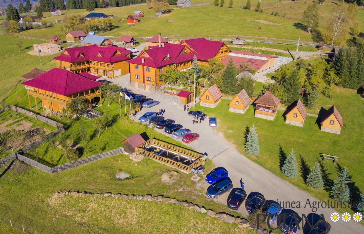 Pensiunea Agroturistica Poiana Poiana Negrii Extérieur photo